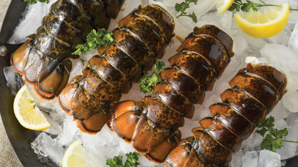 Maine Lobster Tails for Sale [Free Shipping] | Maine Lobster Direct